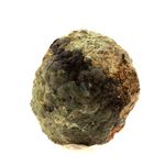 Lithophyse. 232.6 ct.