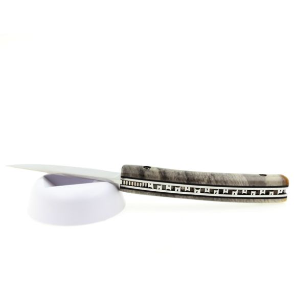 Couteau LE THIERS® manche Jaspe, lame inox, ressort guilloché.