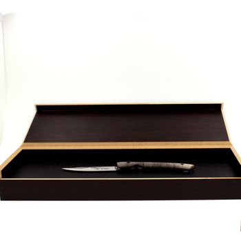 Couteau LE THIERS® manche Jaspe, lame inox, ressort guilloché.
