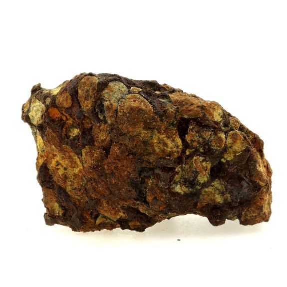 Pallasite Meteorite.