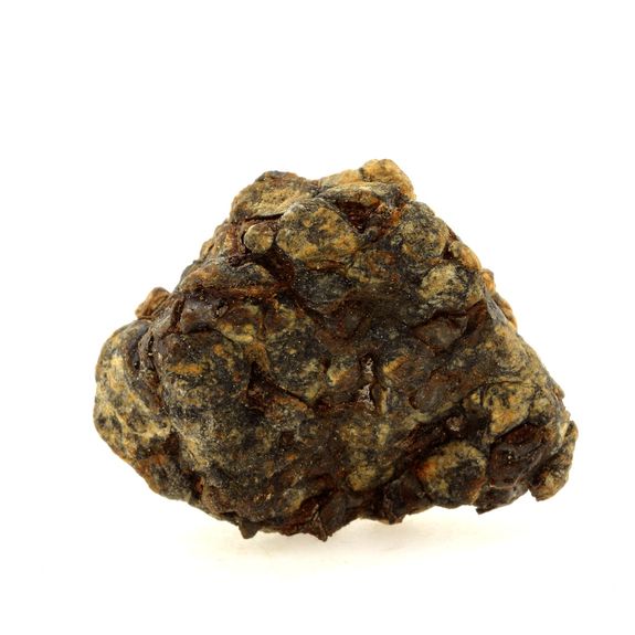 Pallasite Meteorite.