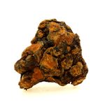Pallasite Meteorite.