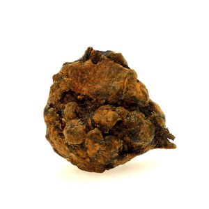 Pallasite Meteorite.