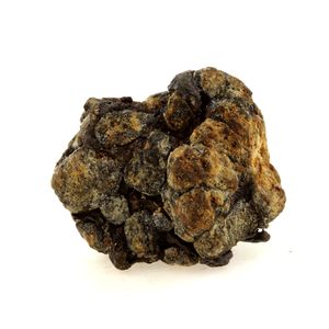 Pallasite Meteorite.
