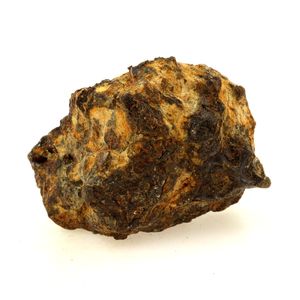 Pallasite Meteorite.
