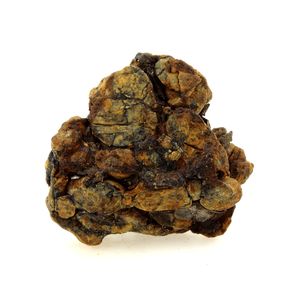 Pallasite Meteorite. 194.1 ct.