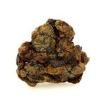 Pallasite Meteorite. 194.1 ct.