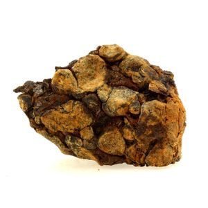 Pallasite Meteorite.