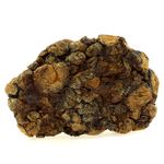 Pallasite Meteorite.