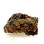 Pallasite Meteorite.