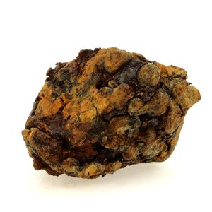 Pallasite Meteorite.