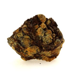 Pallasite Meteorite. 183.6 ct.