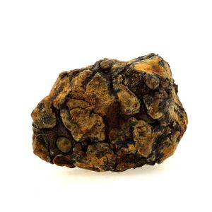 Pallasite Meteorite.