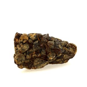 Pallasite Meteorite.