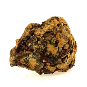 Pallasite Meteorite. 470.7 ct.