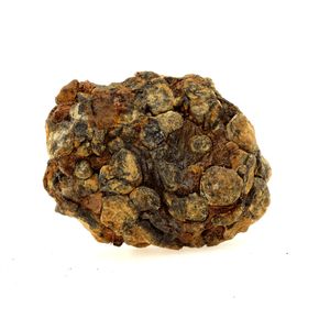 Pallasite Meteorite. 246.2 ct.