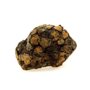 Pallasite Meteorite.