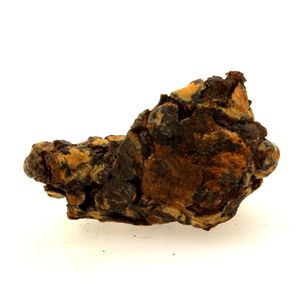 Pallasite Meteorite. 135.1 ct.