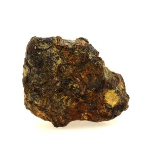 Pallasite Meteorite. 209.1 ct.