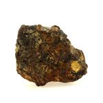 Pallasite Meteorite. 209.1 ct.
