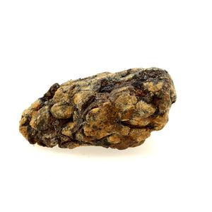 Pallasite Meteorite.