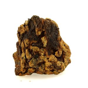 Pallasite Meteorite.