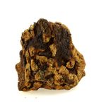 Pallasite Meteorite.