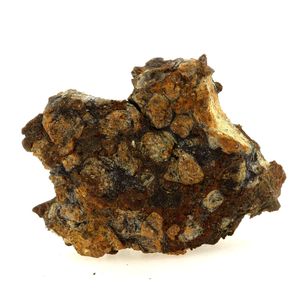 Pallasite Meteorite.
