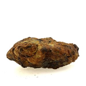 Pallasite Meteorite.
