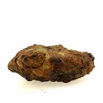 Pallasite Meteorite.