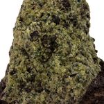 Péridotite. 665.3 ct.