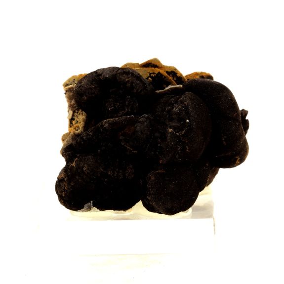 Baryte + Goethite. 391.8 ct.