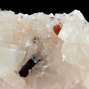 Magnesite, Rutile, Svanbergite.