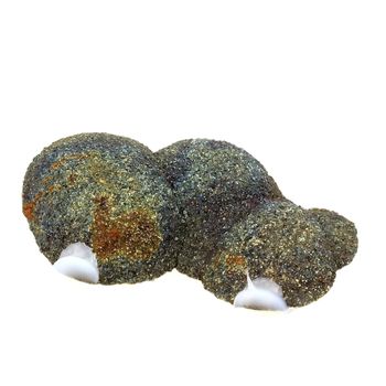 Marcasite + Baryte.