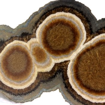 Marcasite + Baryte.