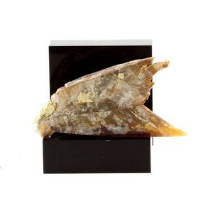Gypse (Fer de Lance). 59.7 ct.