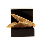 Gypse (Fer de Lance). 16.9 ct.