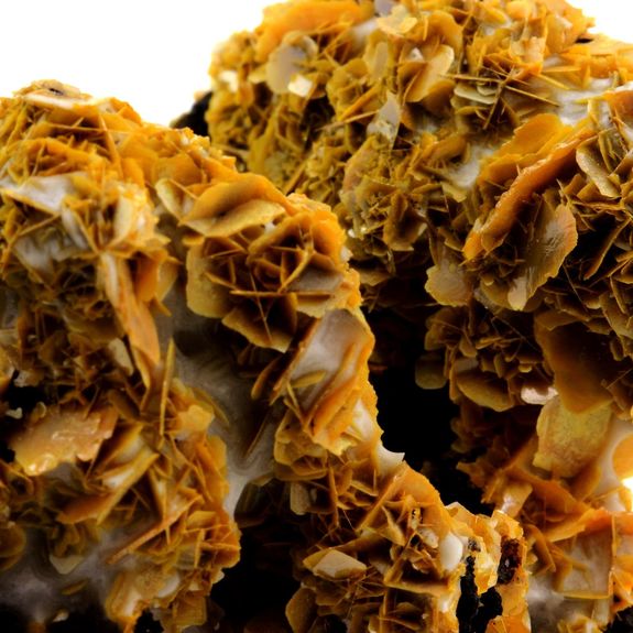 Wulfenite. 1095.1 ct.