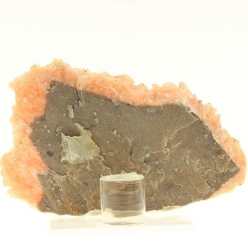 Dolomite. 1560.0 ct.