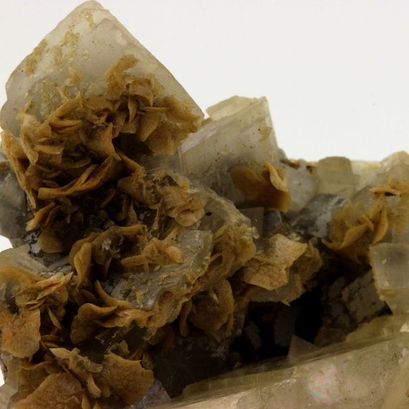 Dolomite + Siderite.