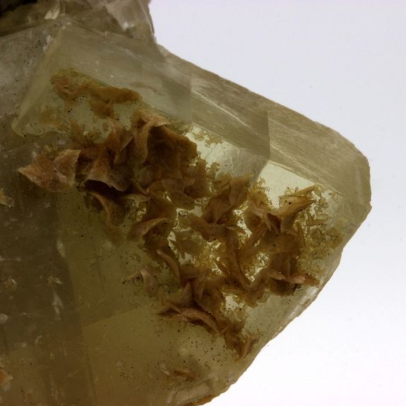 Dolomite + Siderite.