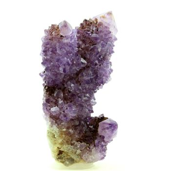 Améthyste Cactus. 697.4 ct.