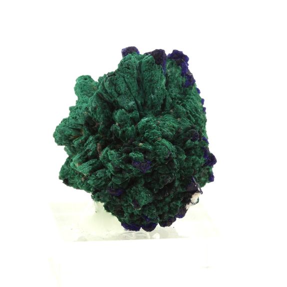 Azurite + Malachite. 167.1 ct.
