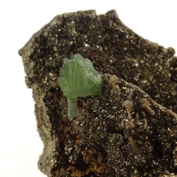 Ludlamite + Pyrite. 199.3 ct.