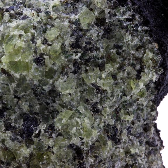 Péridotite. 1045.0 ct.