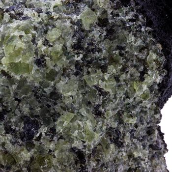 Péridotite. 1045.0 ct.