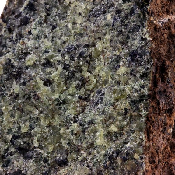 Péridotite. 1030.1 ct.