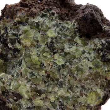 Péridotite. 454.6 ct.