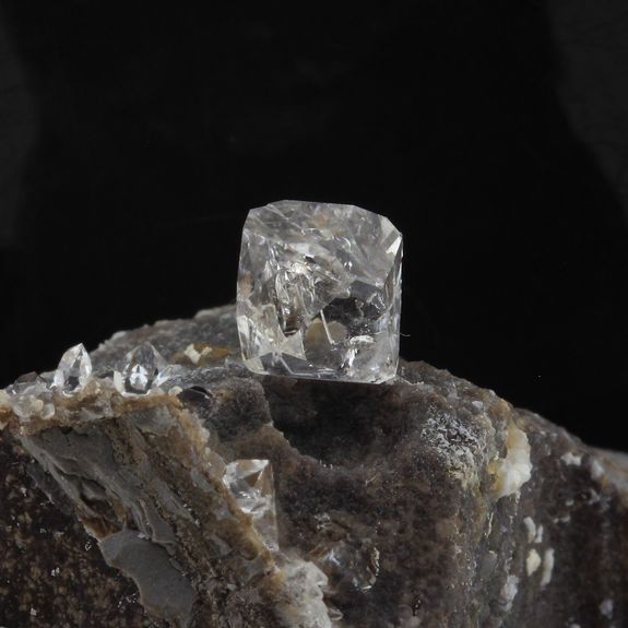 Septaria, Quartz Diamant. 185.9 ct.