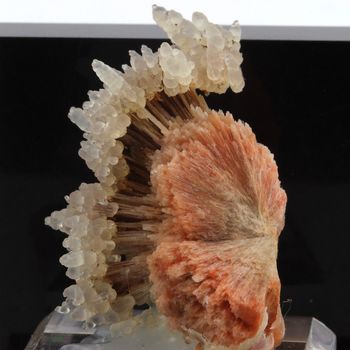 Stilbite + Calcédoine. 248.9 ct.